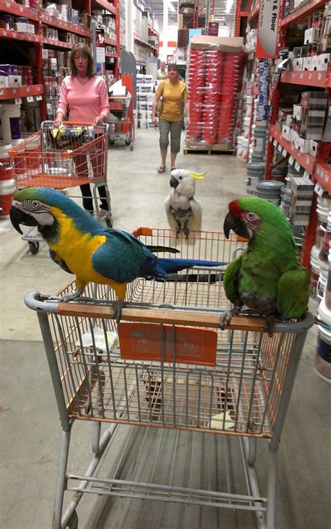 The 20 Funniest Moments In Home Depot History