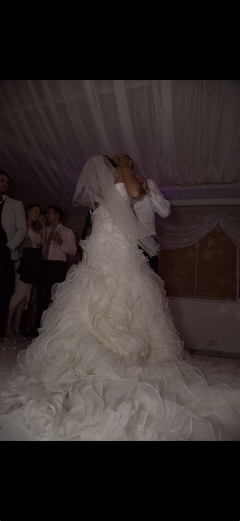 Sell My Wedding Dress Sophia Tolli Cameron Wedding Dress