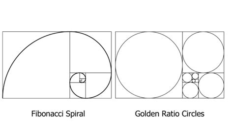How To Use The Golden Ratio In Graphic Design Graphic Design