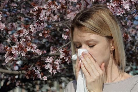 Md Doctor This Allergy Season Could Get Even Worse Wtop News