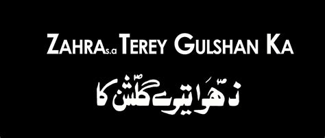 Ali Shanawar And Ali Jee Zahra Terey Gulshan Ka 2017 1439 Video
