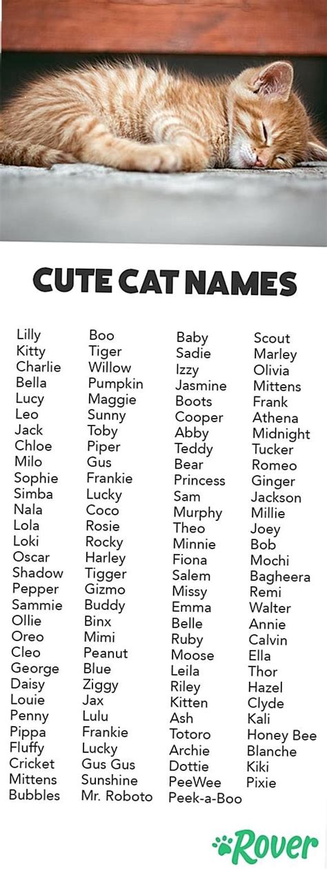 Cat Names Male Unique