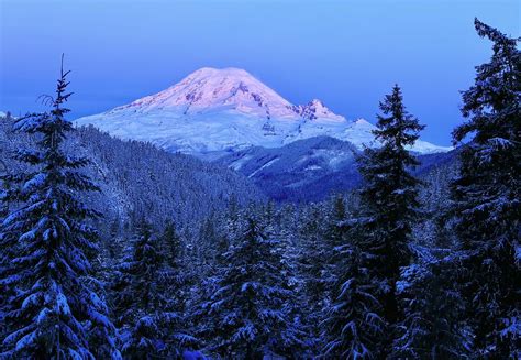 Winter Morning With Mount Rainier Photograph By Lynn Hopwood Fine Art