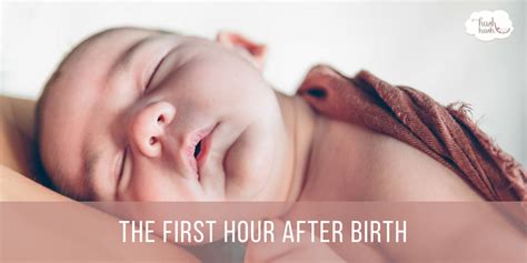 The First Hour After Birth Hush Little Baby Newborn Care Baby Nurse