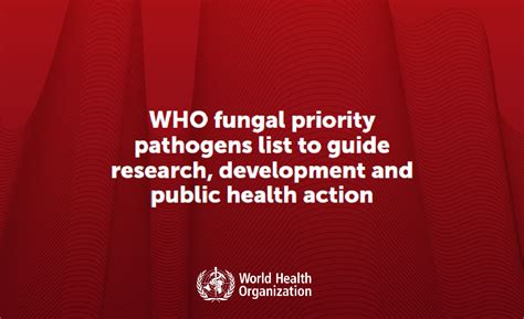 Need For Surveillance And Stewardship Actions Who Fungal Priority