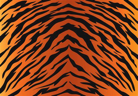 Tiger Stripe Pattern Clipart Simple
