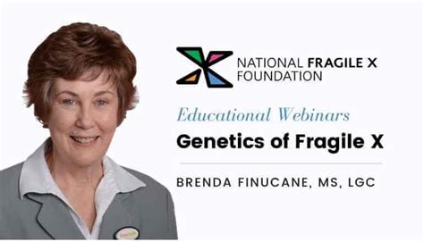 The Genetics Of Fragile X Webinar National Fragile X Foundation