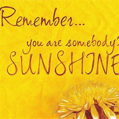 Use This Knowledge Wisely Sunshine Quotes You Are My Sunshine My