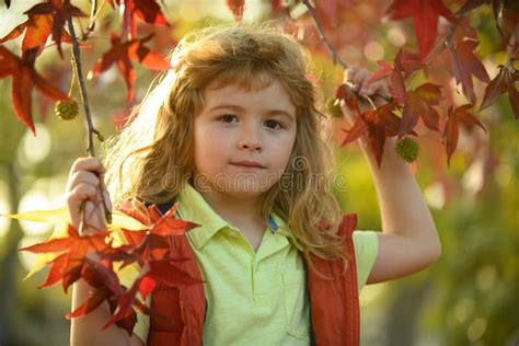 Kids Face In Autumn Outdoor Children Portrait With Yellow Leaves
