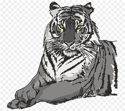 Maybe you would like to learn more about one of these? Gambar Harimau Sumatera Kartun