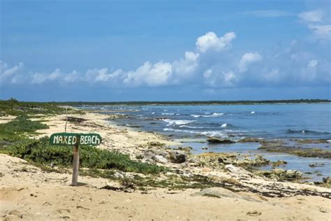 Cozumel Nude Beaches And Bars