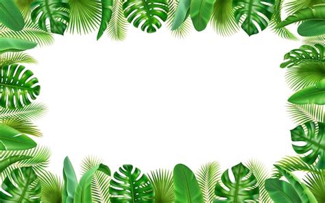 Premium Vector Tropical Leaves Frame Background Border Green Leaf