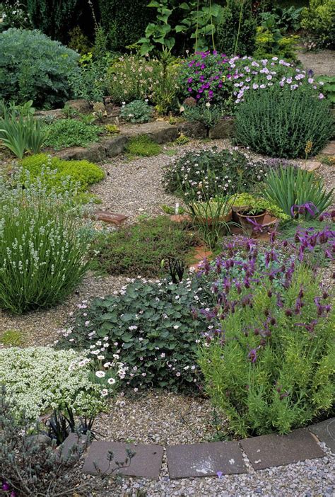 Then, display your miniature rockery on a table, patio or garden balcony. Dry Garden Photos #landscape | Gravel garden, Dry garden ...