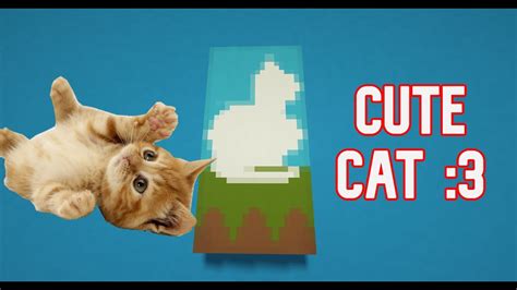 How To Make A Cat Banner In Minecraft
