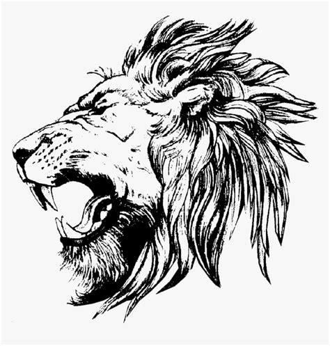 Free 161 Simple Lion Head Svg Svg Png Eps Dxf File Free Svg Cut Files