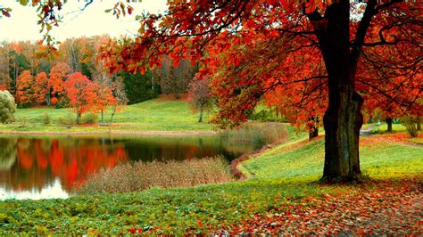 Autumn Building Grass Wallpaper Hd Nature 4k Wallpapers Images Images