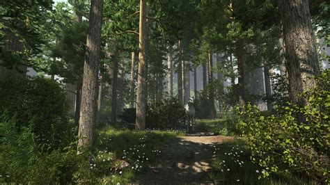 Forest Scene 10 3d Models In Environment 3dexport
