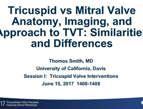 Tricuspid Vs Mitral Valve Anatomy Imaging And Approach To Tvt