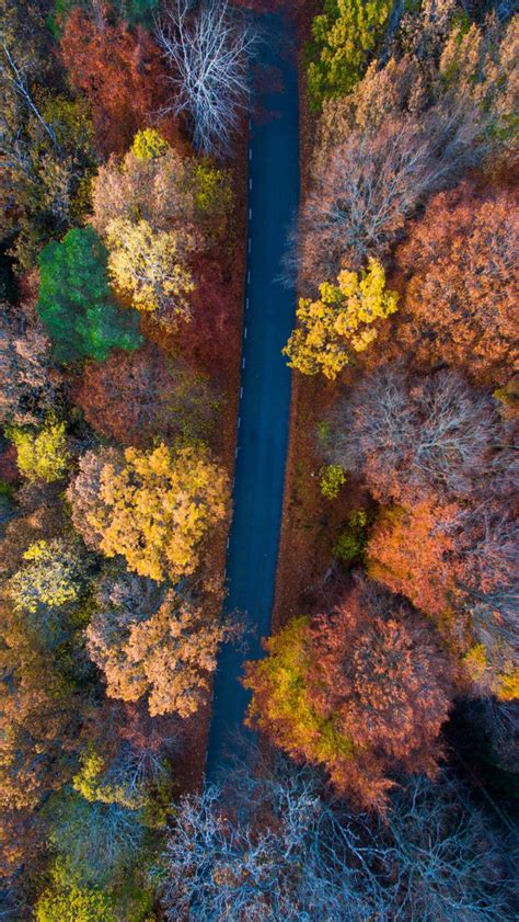 Road Autumn Fall Aerial View Forest Iphone Wallpaper Scenic Autumn