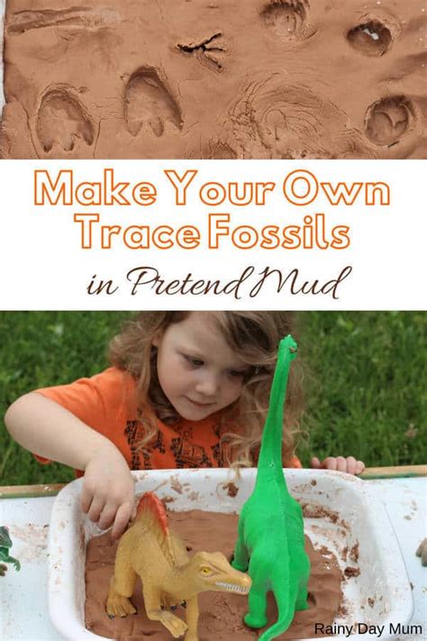 Exploring Fossils With Kids Making Trace Fossils In