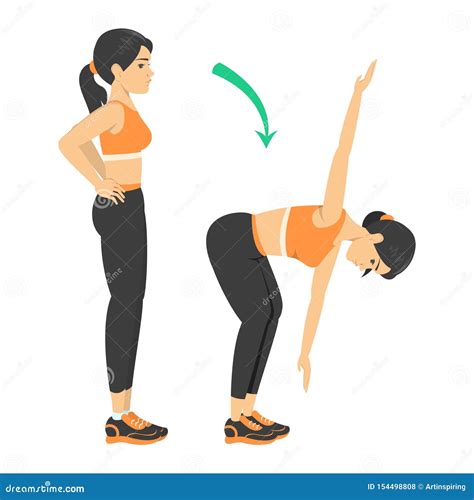 Woman Doing Standing Toe Touch Stretches Exercise In Step Stock Illustration Download Image Now