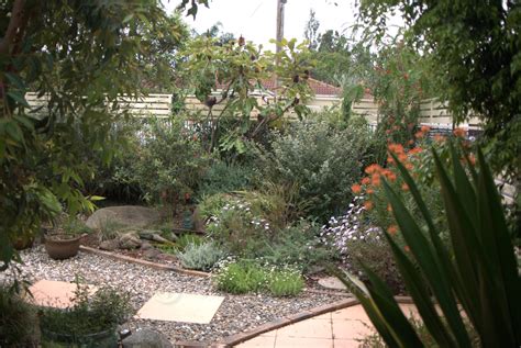 Illawarra Native Garden Full Of Fresh Ideas Mallee Design