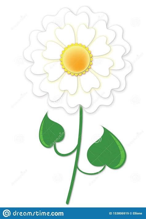 Sola Flor De La Margarita Blanca Stock De Ilustración Ilustración De