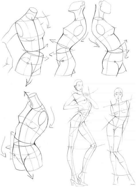Female Torso Drawing Tutorial Discover The Magic Of The Internet At