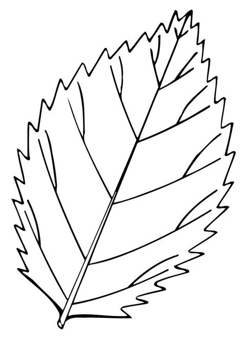 Kleurplaat blad. Gratis kleurplaten om te printen afb 12948.