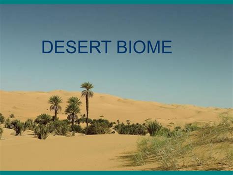 Desert Biome