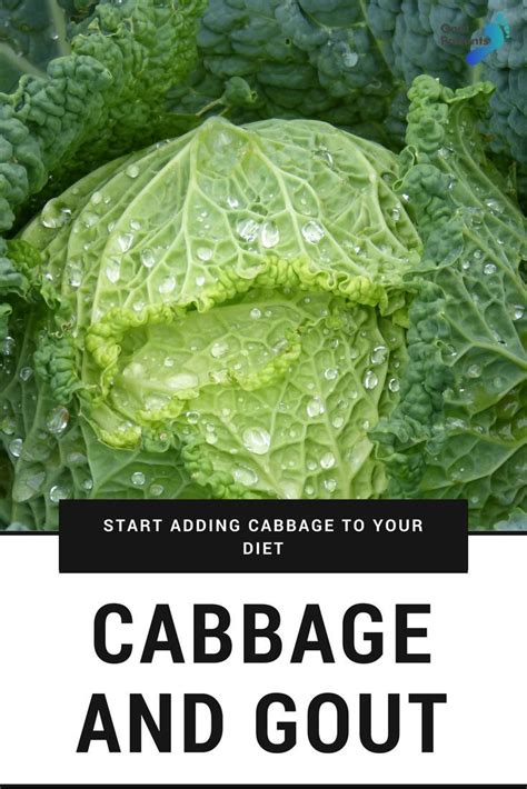 We did not find results for: Cabbage And Gout (Start Adding Cabbage To Your Diet ...