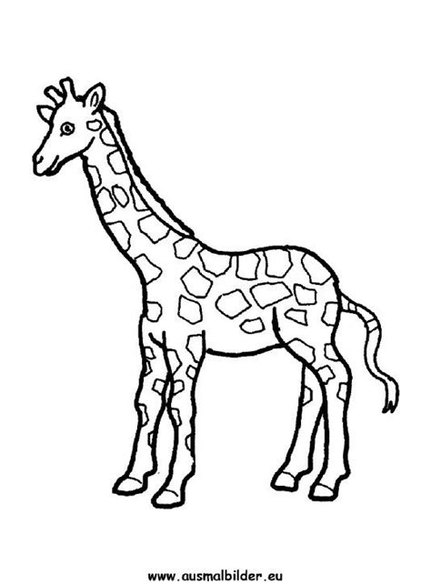 Wie wäre es vielleicht mit einer wandschablone zum ausdrucken mit dem lieblingstier ihres kindes? Ausmalbilder Giraffe Gratis 1039 Malvorlage Giraffe ...