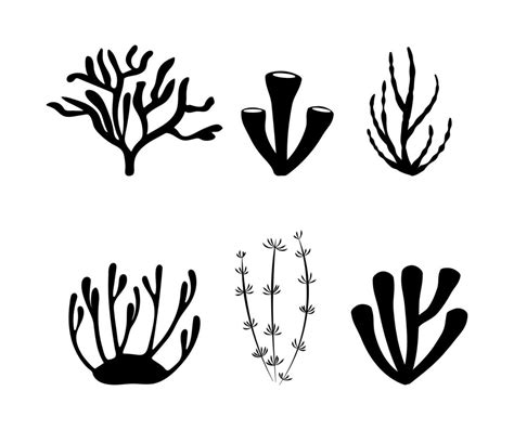 Black Silhouettes Of Sea Corals And Algae Vector Set 8631962 Vector Art