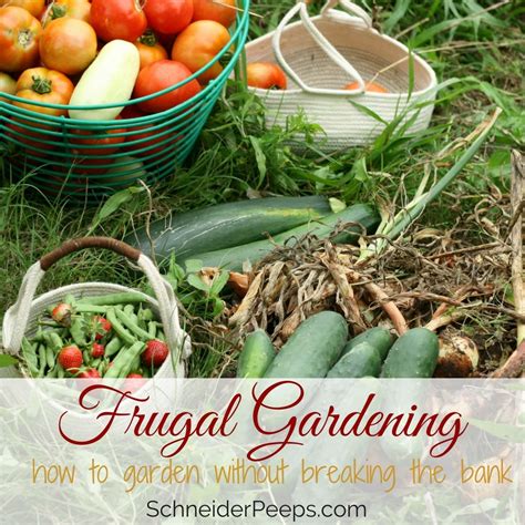 Frugal Gardening Tips How To Save Money In The Backyard Garden