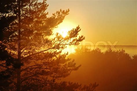 Early Mist Morning And Beautiful Sunrise Stock Photo