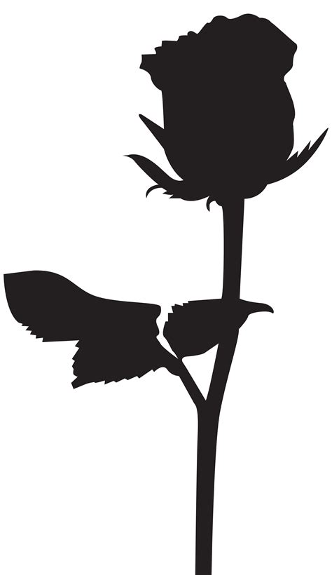 Black Rose Silhouette At Getdrawings Free Download