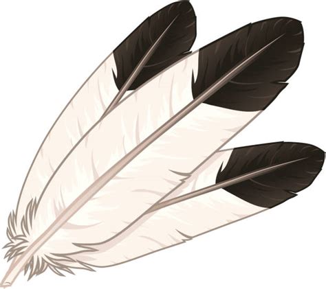 Eagle Feather Illustrations Royalty Free Vector Graphics And Clip Art