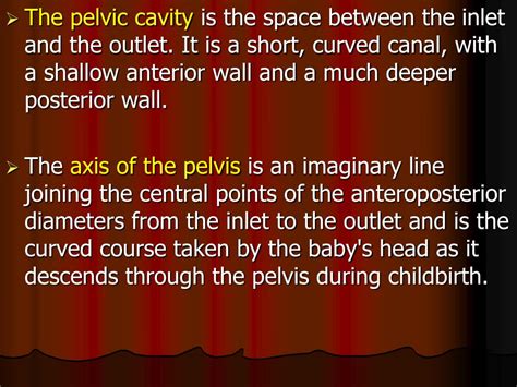 Ppt Bony Pelvic Wall And Pelvic Cavity Powerpoint Presentation Free