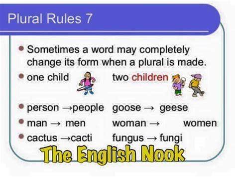 Plural Rules English Grammar Vocabulary Home