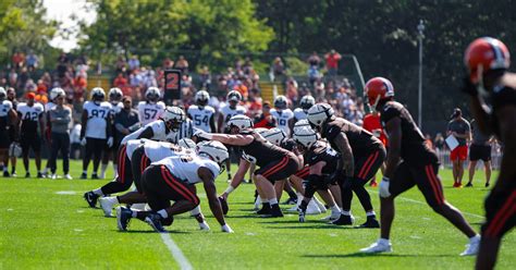 Cleveland Browns Roster Cuts Tracker For 2023 Nfl Season Bunny
