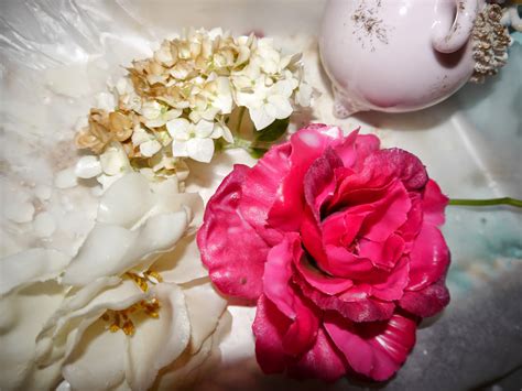You can also start a hoya plant in a glass of water. Suzy Homefaker: Wax dipped Flowers