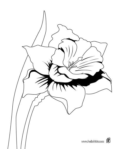 The orchids coloring pages 230 x 230px 19.97kb. Orchid Coloring Pages at GetColorings.com | Free printable ...