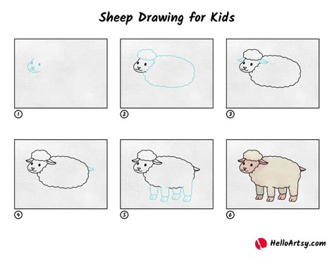 Sheep Drawing For Kids Helloartsy