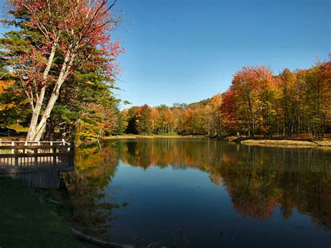 Allegany state park camping includes nearly 65,000 acres of wooded hills, picturesque lakes, and lush river bottoms that are affectionately referred to as the wilderness for camping in the red house lake area, the park offers 125 tent and rv campsites, and 144 cabins, alongside stoddard creek. Allegany State Park, a New York State Park located near ...