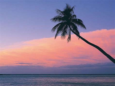 Fiji Beach Sunset Wallpaper 1024x768 Download