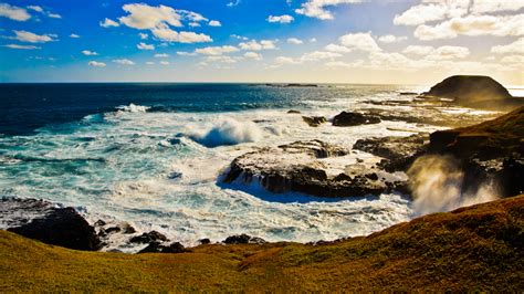 Local time in the city of phillip island : Top 10 Things To Do And See On Phillip Island, Victoria