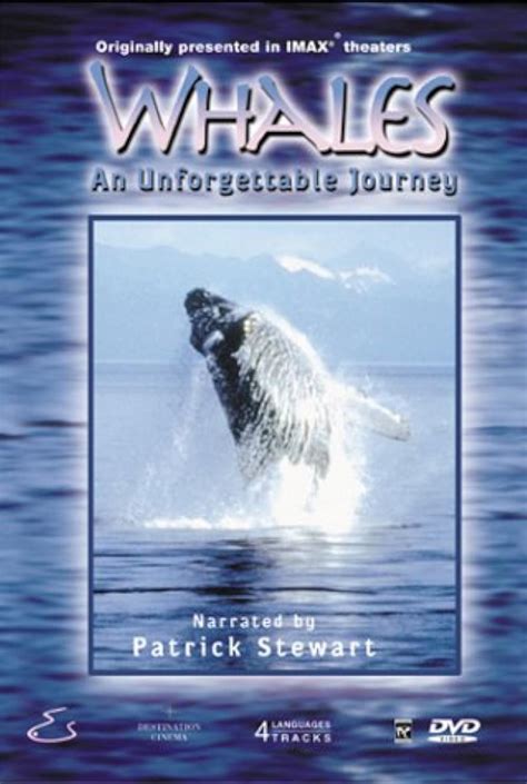 Whales An Unforgettable Journey 1997