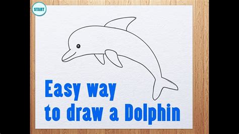 How To Sketch A Dolphin Step By Step At Drawing Tutorials