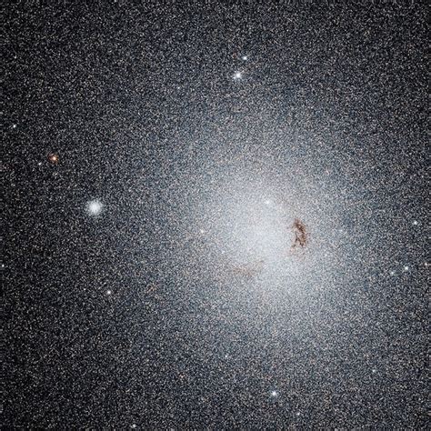 Ngc 185 Is A Dwarf Elliptical Galaxy In The Constellation Cassiopeia