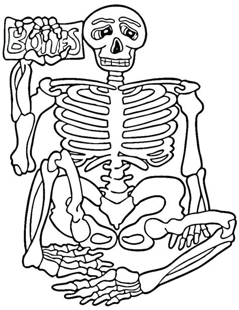 Axial Skeleton Coloring Pages At Free Printable